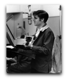 Elvis le Pelvis